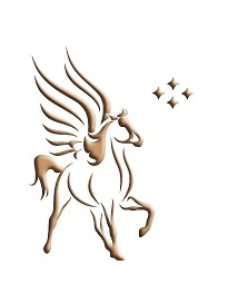 Pegasus Intellectual Capital Solutions LLC is a creative solutions based boutique investment bank.