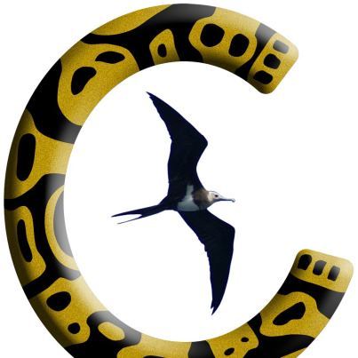 Focusing on Kahuna Bodywork and Principles.         
Kahuna Connection provides a network of people in the fields of massage, yoga and other natural therapies.