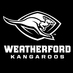 Roo Review (@whsrooreview) Twitter profile photo Roo Review (@whsrooreview) Twitter profile photo