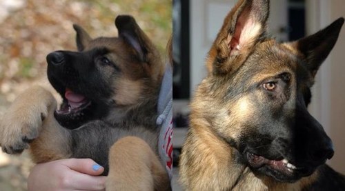 asastina's profile picture. Patienter "beamas" inte till sjukhus - bedömningar, prioriteringar och medicinska insatser sker rutinmässigt prehospitalt