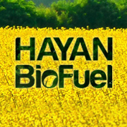 We provide comprehensive economical and technical evaluation of all type of biofuel processes, technology transfer and education services.