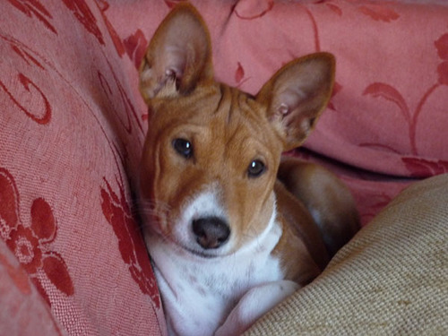 ilanoula's profile picture. 