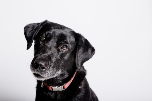 BlackDreamMaker's profile picture. 