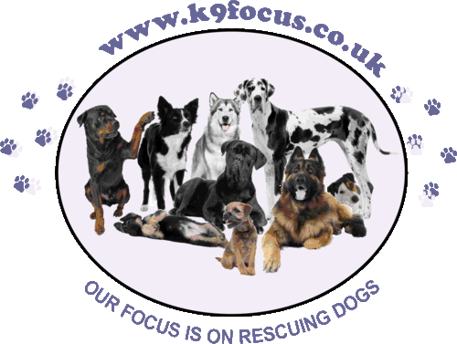 k9focusdogshow's profile picture. K9 Focus first dog show is 2nd September 2012 and is looking to be a fantastic fun day for all the family to enjoy - four legged and two legged xx