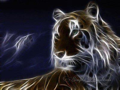 Salut tout le      Monde...