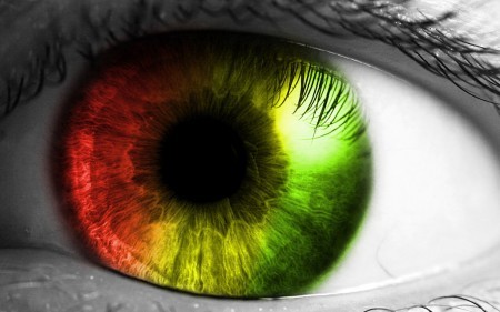house, progressive house, dubstep, trance, dance, electro