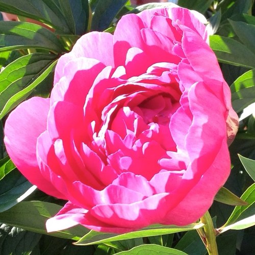 SuperCuteSkirt's profile picture. I like to make skirts. I'm interested to see what I can learn from other people on Twitter who like to sew.