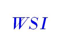 WSI Internet Marketing — Solutions for the Modern Business