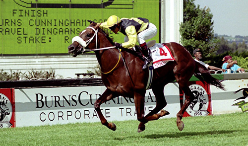 Fun Loving Guy ,Crazy About Sport , Love Animals , Life , Music , And  Most of all Racing ! .