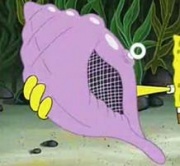 I am the Magic Conch Shell. You may ask me any questions you have. I am always Right #Spongebob #Patrick #TeamFollowBack #lalalalala