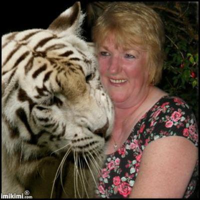 KateConwayMusic's profile picture. Kate Conway is a singer / keyboard player from Lancashire, who performs in hotels and residential homes. She will tailor the performance to meet your needs.