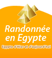 Nous sommes un groupe de guides égyptiens francophones spécialisés depuis plus de 15 ans dans les randonnées à travers le désert blanc ou sinai ou sur le Nil, p