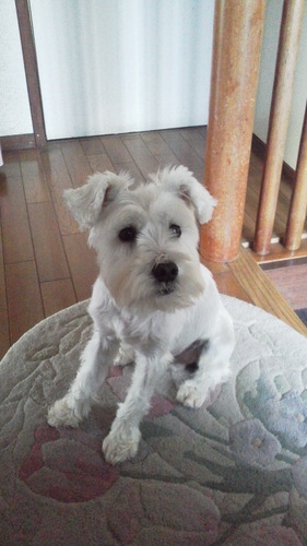 ogawaeiji3's profile picture. 