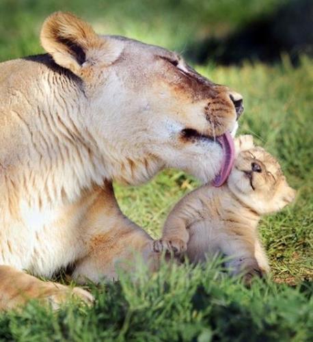 jeune maman, et trentenaire..