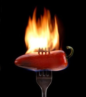 COMING August 2012!!!  EUR/USD 1 min. candle, 6 min. trade... tweets in realtime!  Time and watch the results!  You are responsible for your trade decisions.