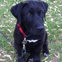 scott clay - @scottaclay1 - Twitter