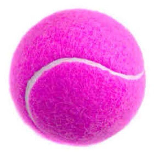 girlstennisprob's profile picture. girls rule, boys drool