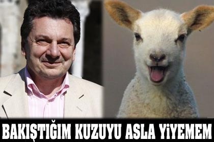 vedat milorusevendam