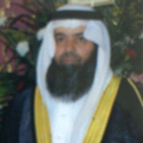 alobaidi61's profile picture. 