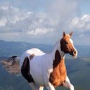 marla patrick - @marlamaypatrick - Twitter