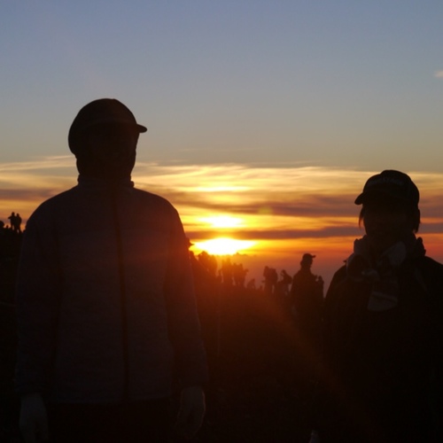 vaulthead's profile picture. 