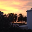 Monica Rome - @mrome67 - Twitter