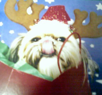 BlinnKelly's profile picture. 