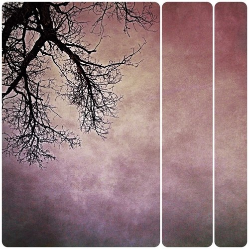 jthesenga's profile picture. Climb. Climb. Climb. Climb. Climb. Instagram: @jthesenga. #NeverWasteAWeekend