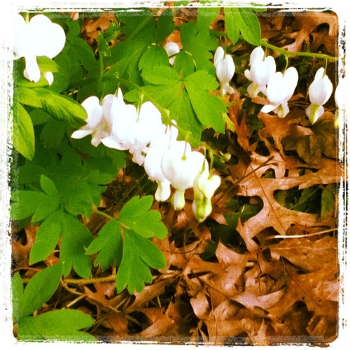 C_Ralph1's profile picture. 