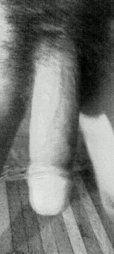 AssManLuvsTits's profile picture. 