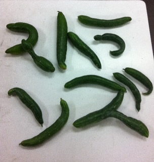 strands_libera's profile picture. 地産地消のお店　ストランズ
箱根西麓野菜、東部・伊豆の物産品、市民手作り品など数多く取り揃えています。