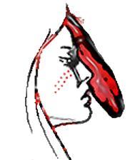 SingleRedFemale's profile picture. Supporting the Empowerment of Indigenous People