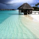 Layla Karam - @LayoolK - Twitter