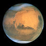 CuriousityMars's profile picture. Help. Some scientists stranded me on this inhospitible backwater planet. I also may have landed on a Martian cat, killing it.