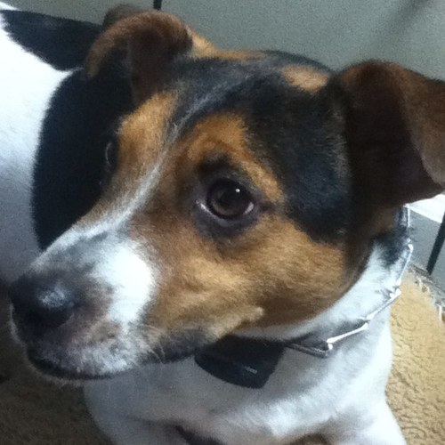 workcell500's profile picture. 