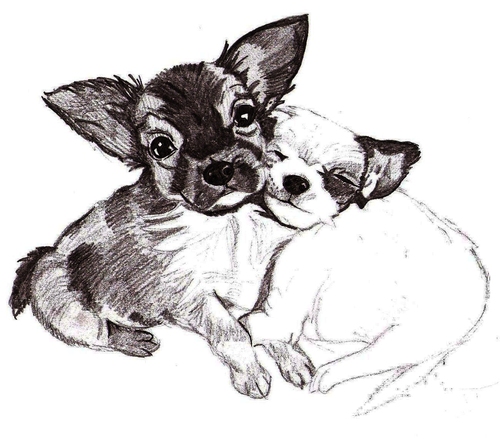 I’m an artist, illustrator & animal lover creating pet portraits & illustrations. Pls c my work on http://t.co/r2v2IHl2