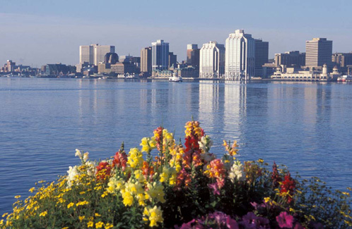 All about Halifax! Visit http://t.co/i0cNUUB4ao to read what residents and visitors are tweeting about the beautiful city of Halifax.