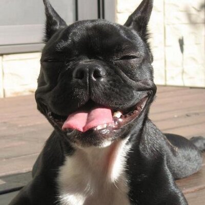 ちょいちょい 0choichoi Twitter