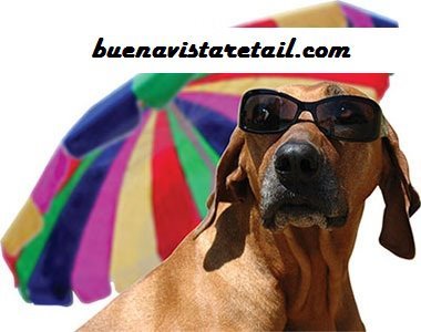 buenavistaretai's profile picture. Buena Vista Retail - The latest technology before it hits the high streets. #TeamFollowBack #ifollowback