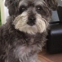 Jodi Slater - @slaterj3 - Twitter