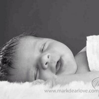 Shane's (@shaney82shanes) 's Twitter Profile