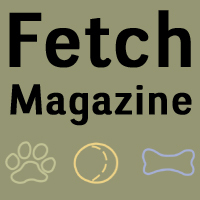 Magazine for dogs and their humans - support, fun, info with a WI focus