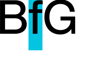 Big Fashion Giant, Reporting on Fashion 6ft +