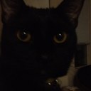 Anne Carson - @sheckyTGOD - Twitter