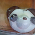 sakataritsuko (@pagtas) Twitter profile photo sakataritsuko (@pagtas) Twitter profile photo