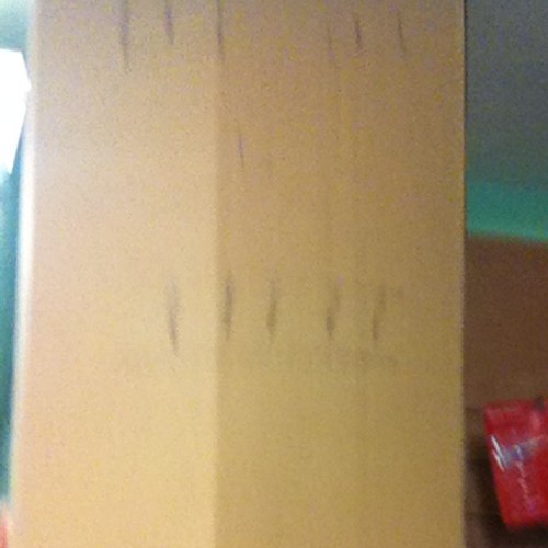 bobbyboxbajaj's profile picture. life's too short!!!!