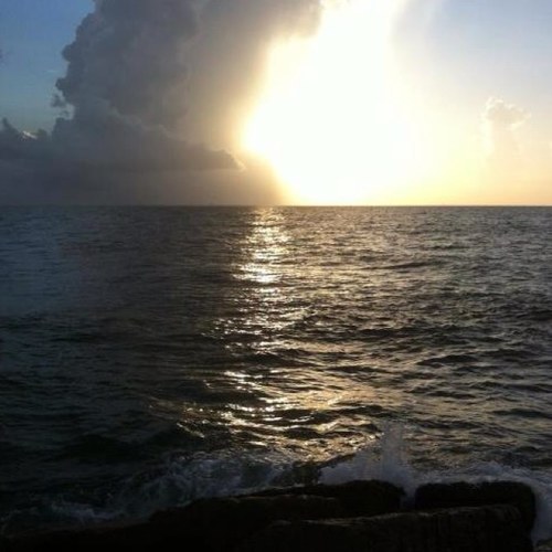 taunyabluna's profile picture. 