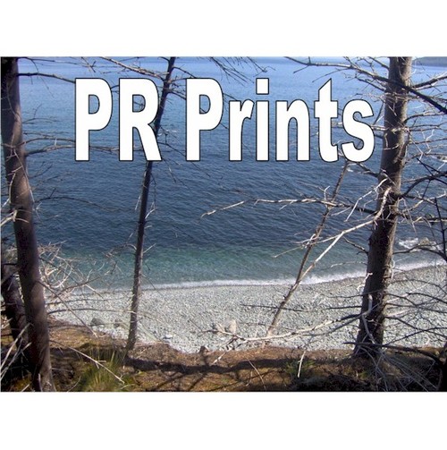 prprints's profile picture. PR Prints features Newfoundland photography and inspirational messages and more.