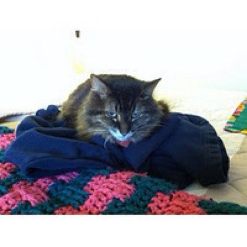 beckaroo6's profile picture. 