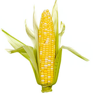 CornQueen18's profile picture. Mother of three, Born and raised in Iowa, and I tell it like it is.